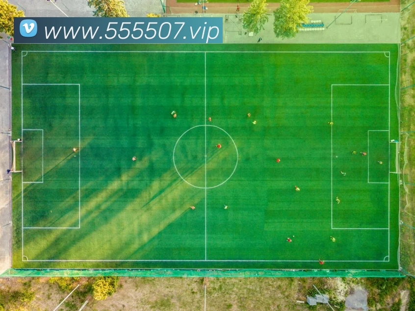 500彩票网官方平台生态图